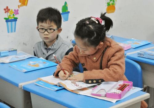 教育部回應“15年義務教育”傳聞 家長普遍支持，教育咨詢需求上升